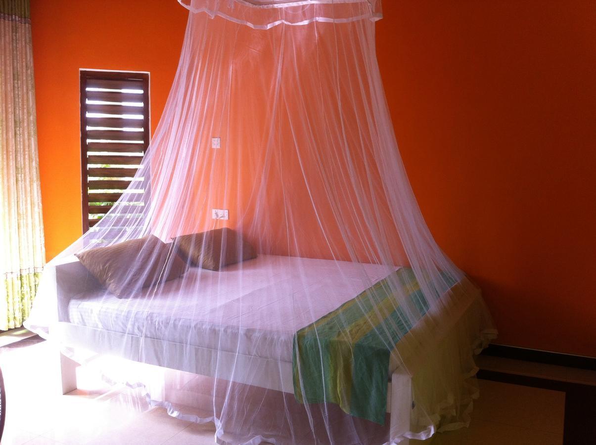 Bee Nest Bed & Breakfast Negombo Luaran gambar