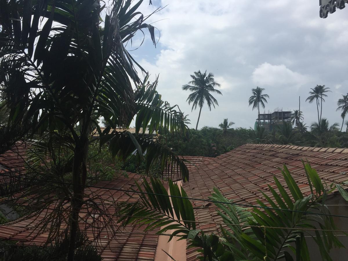 Bee Nest Bed & Breakfast Negombo Luaran gambar